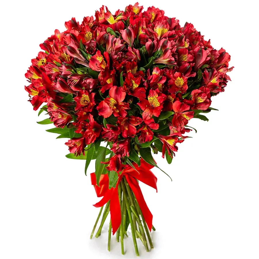 Красные альстромерии